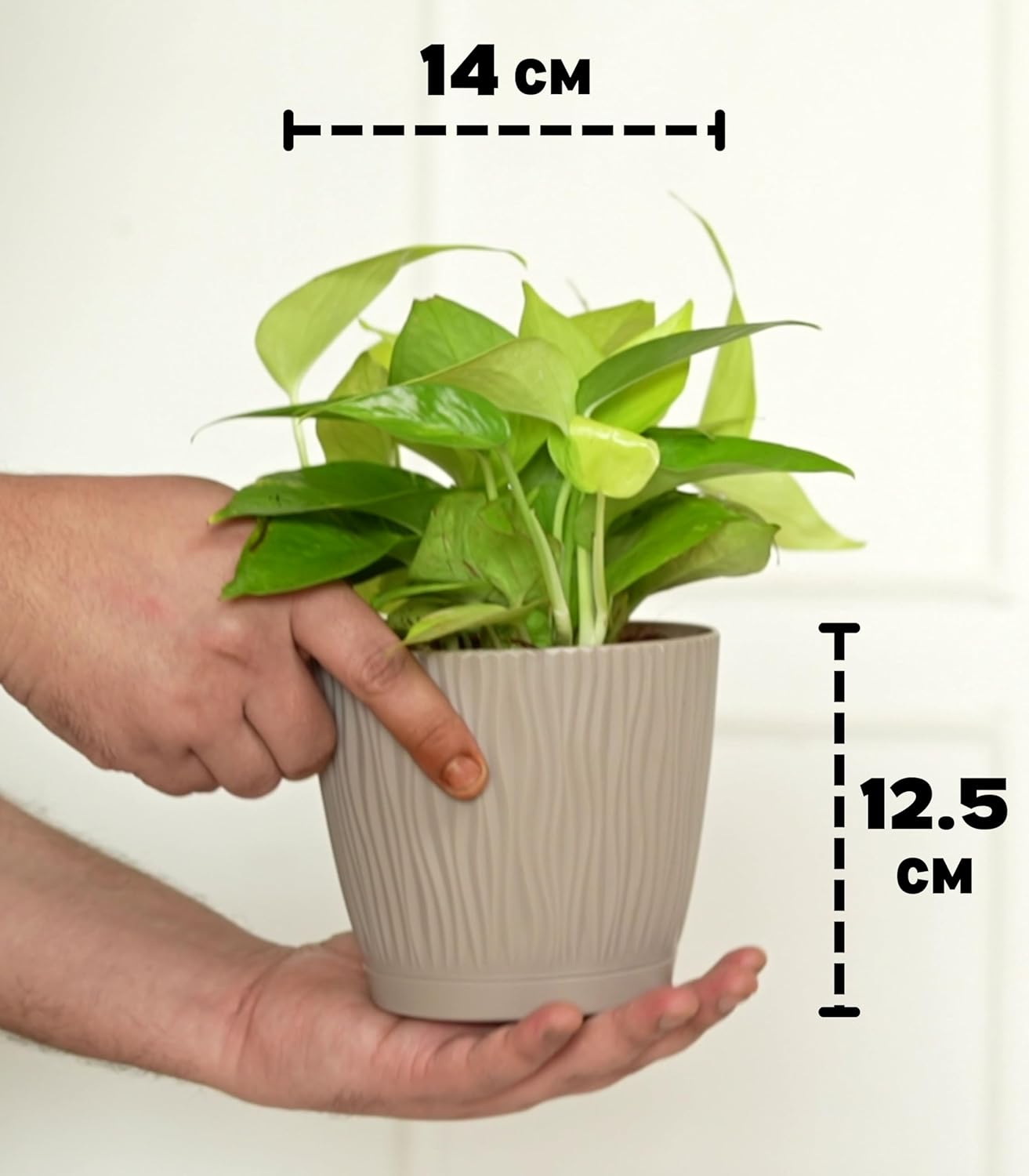 NatureGlow Set of 3 Self Watering Plastic Pots for Indoor Plants, Home & Garden Décor Planters (Mocha, 14x12.5cm
