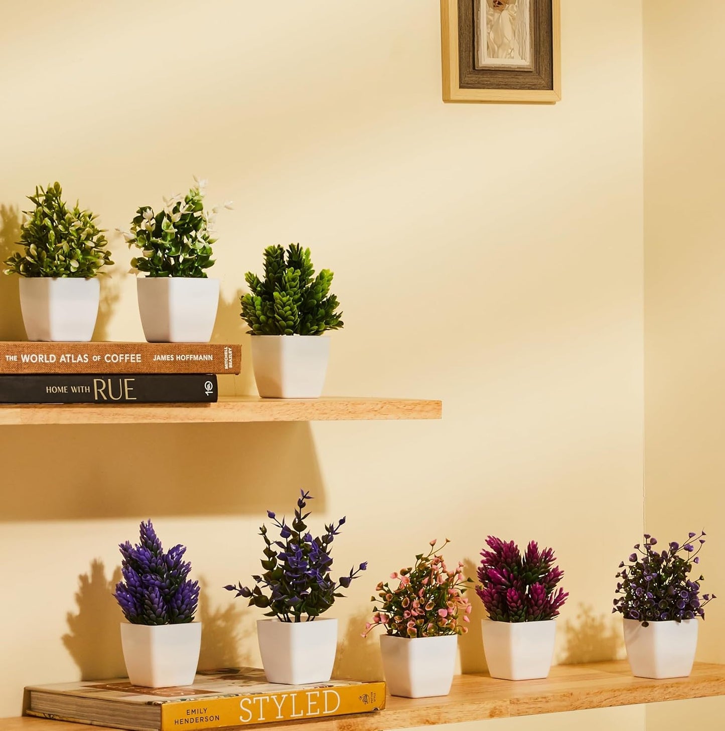 Amazora Artificial Plants with Pot | Realistic Look | Durable Plastic | No Maintenance | Home Decor Pack of 8