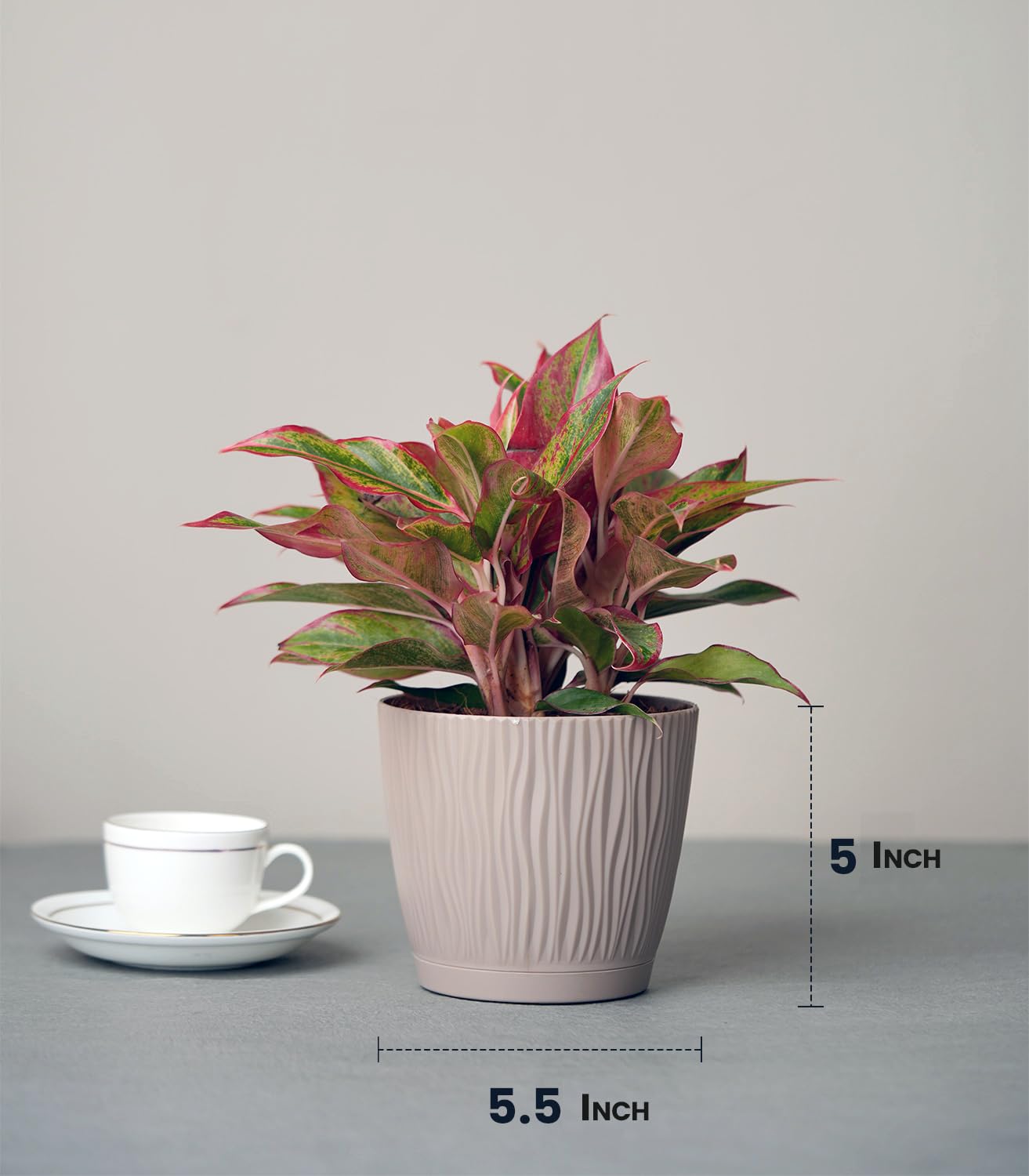 NatureGlow Set of 3 Self Watering Plastic Pots for Indoor Plants, Home & Garden Décor Planters (Mocha, 14x12.5cm