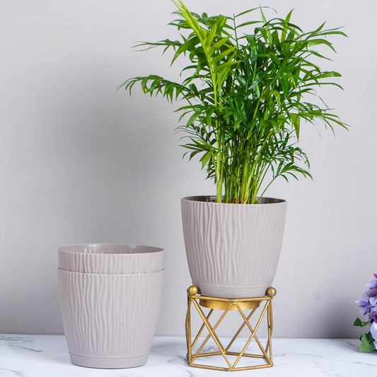 NatureGlow Set of 3 Self Watering Plastic Pots for Indoor Plants, Home & Garden Décor Planters (Mocha, 14x12.5cm